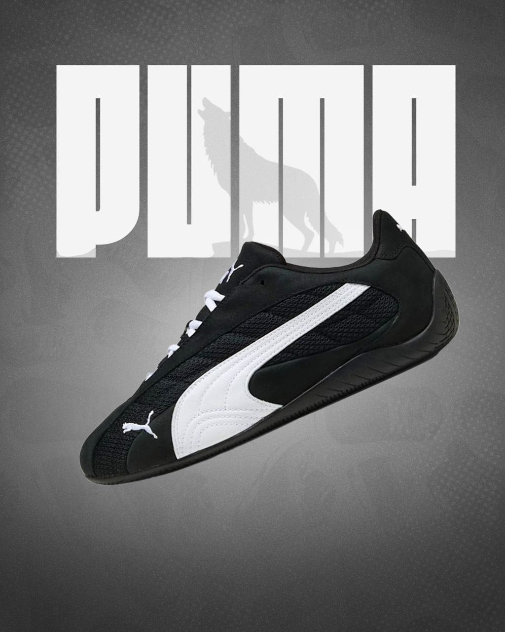 Puma