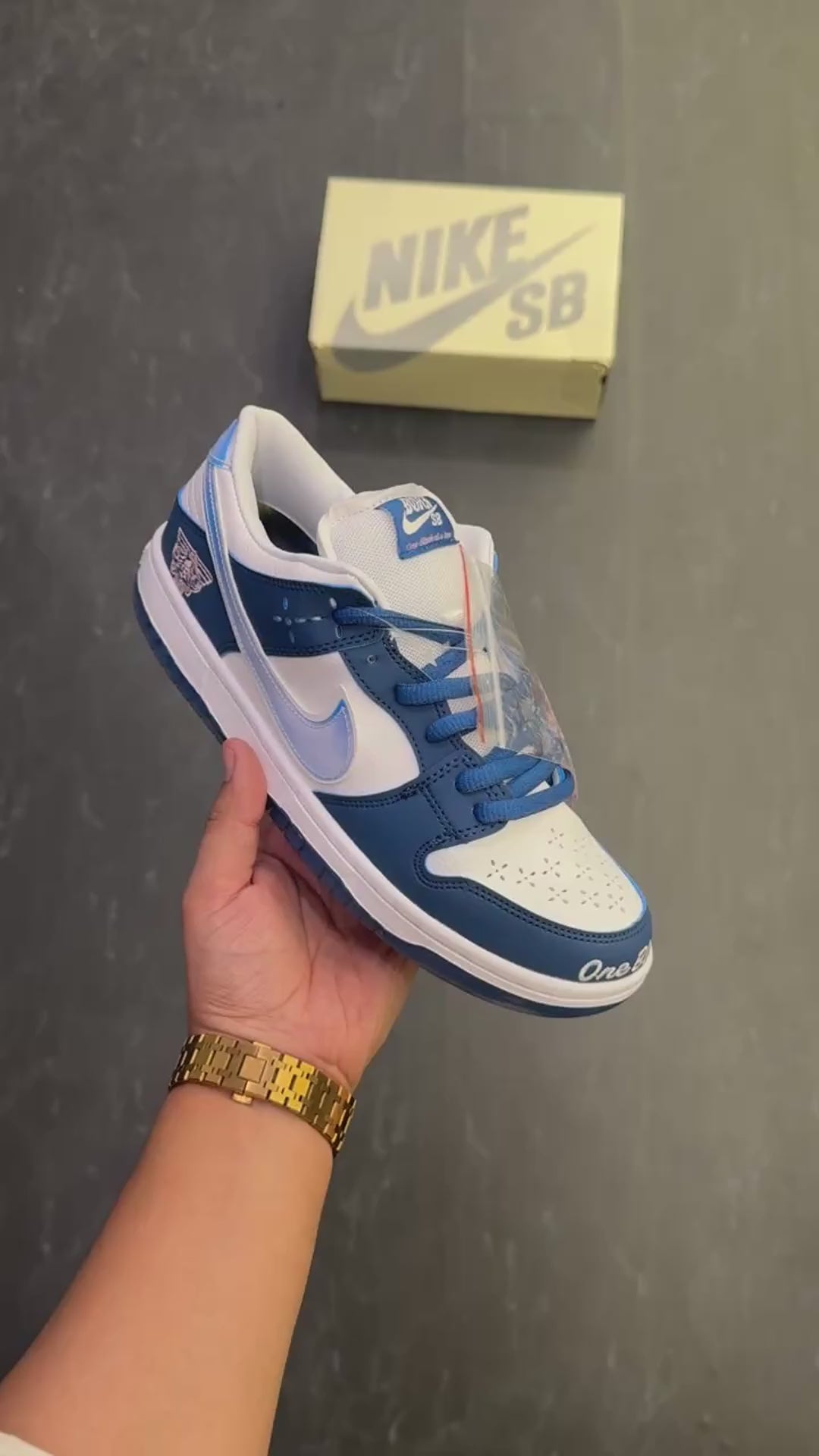 Greyhut-NIKE SB DUNK THE BORNE X RAISED